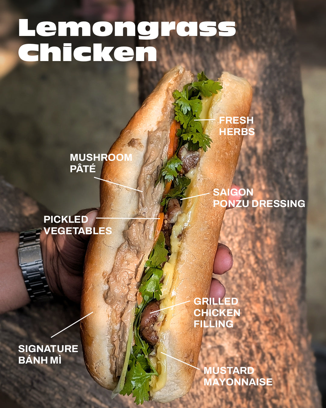 Bringing Back the Bánh Mì!