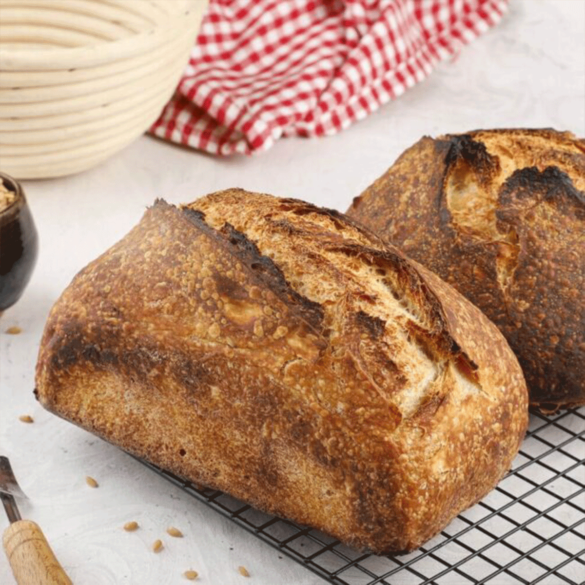 Whole Wheat Sourdough