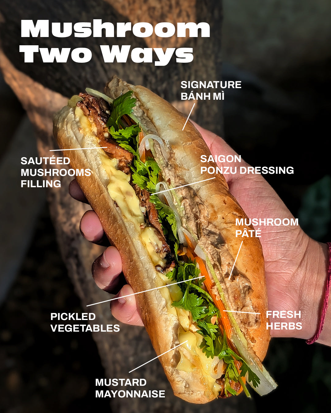 Bringing Back the Bánh Mì!