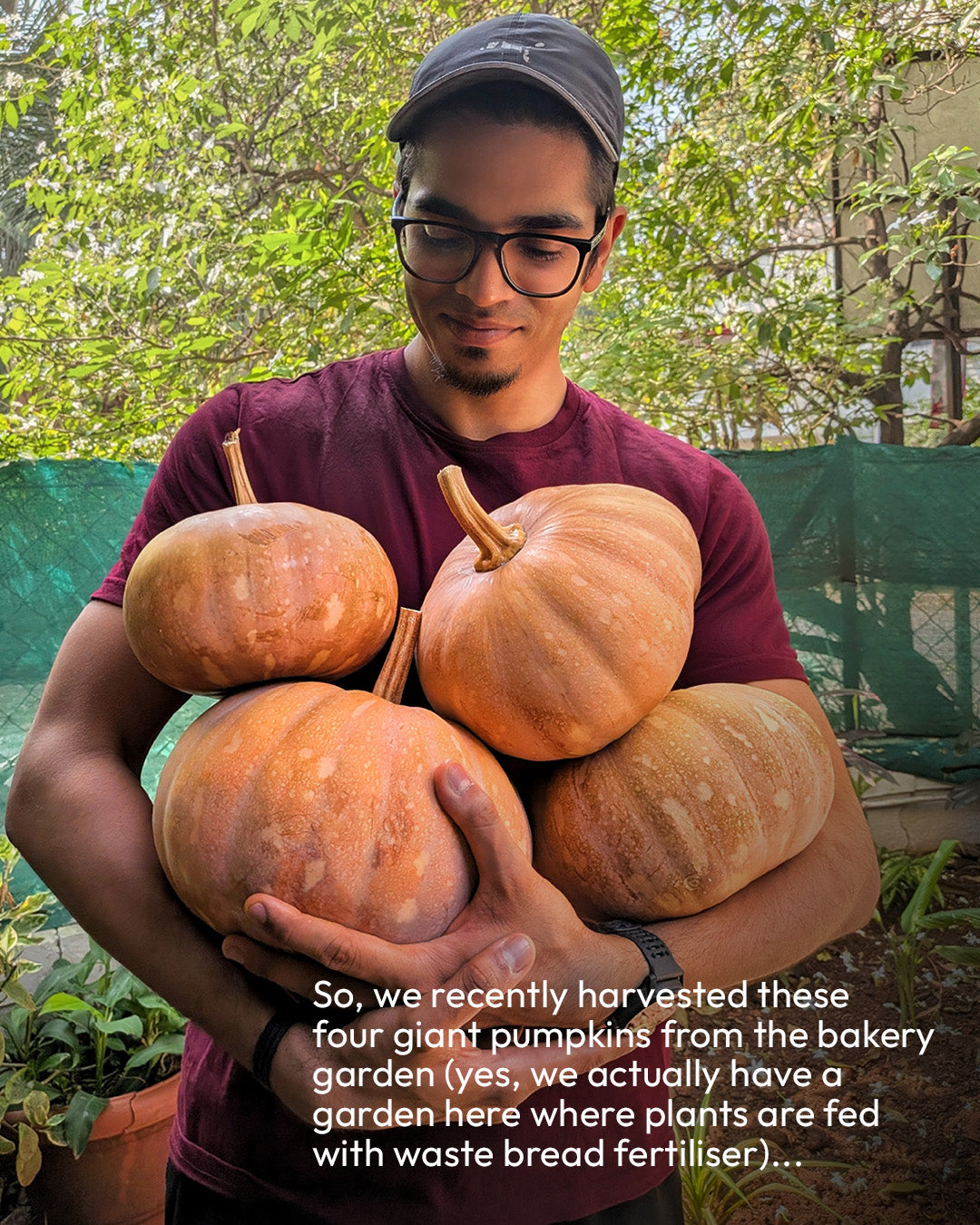 Halloween Special - Pumpkin Spiced Buns